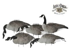Appelants-silhouettes-bernaches-LuckyDuck