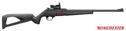 Carabine-Winchester-Wildcat-22-Combo
