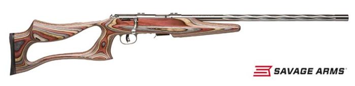 Savage-93R17-BSEV-17-HMR