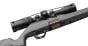 winchester-wildcat-22-22-lr-18-scope-combo