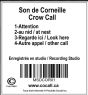 Cocall-Crow-Sounds-Micro-SD-card