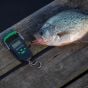 smith-s-regalriver-fish-scale-50-lbs