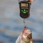 smith-s-regalriver-fish-scale-50-lbs