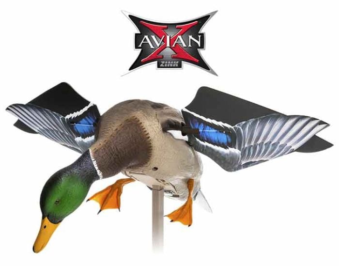 Avian-X-Powerflight-Mallard-Spinning-Wing-Duck