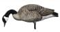 Avian X-Honkers-Fusion-Pack-Decoys