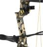 Bear-Species-LH-Compound-Bow