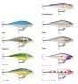 Leurre-Rapala-Shallow-Shad-Rap-2.75''