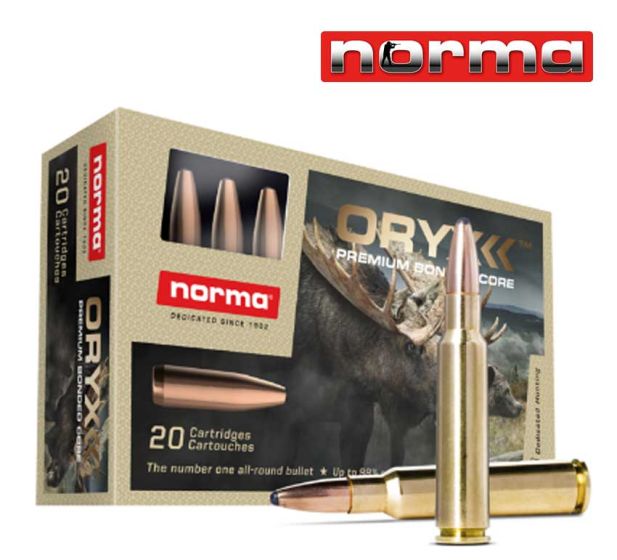 Norma-Pro-Hunter-Oryx-338-Win-Ammunition