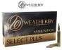Munition-300-Weatherby-Magnum-TTSX