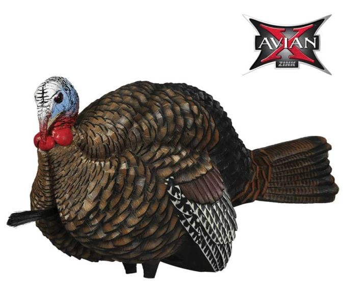 Appelant-dindon-AvianX -LCD-1/2-Strut-Jake
