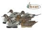 Pintail-Haverster-Ducks-Decoys