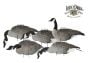 LuckyDuck-Silhouettes-Canada-Goose