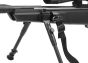 Bipied-Stoeger-ATAC