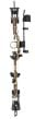 Bear-Species-LH-Compound-Bow