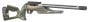 Ruger-10/22-Competition-Laminated-22-LR