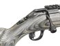 Ruger-22LR-Riflle