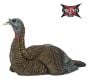 LCD-Laydown-Hen-Decoy