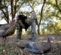 LCD-Laydown-Hen-Decoy