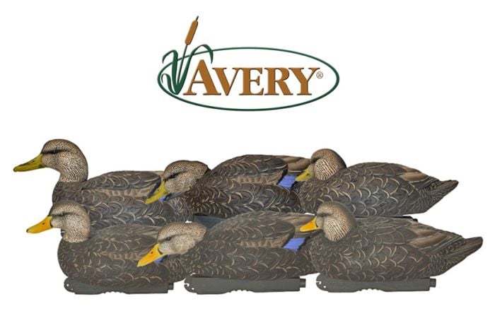 Appelants-de-canards-noirs-mélangés