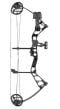 Bear-Pathfinder-Black-RH-Youth-Compound-Bow