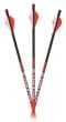 Carbon-Express-Maxima-Red-350-Arrows-6-pack