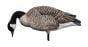 Avian X-Honkers-Fusion-Pack-Decoys