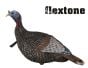 Thunder-Jake-1/4strut-Decoys