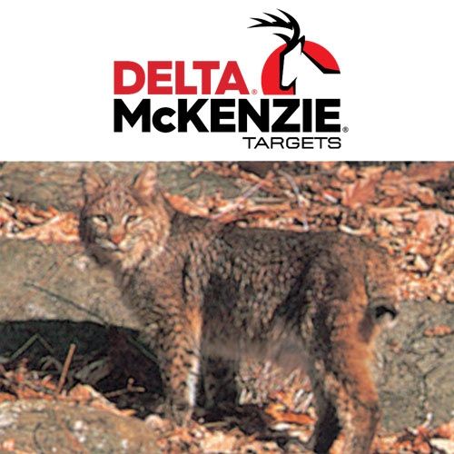 Delta-MCKenzie-Bobcat-Target