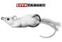 Leurre-de-surface-souris-à-corps-creux