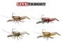 Leurre-écrevisse-Live-Target