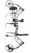 Bear-Species-LH-Compound-Bow