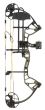 Royale-RTH-LH-Strata-Compound-Bow