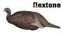Appelant-à-dindon-femelle-Flextone-Thunder-Chik
