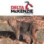 Delta-MCKenzie-Bobcat-Target