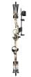 Bear-Legit-RTH-Whitetail-RH-Bow