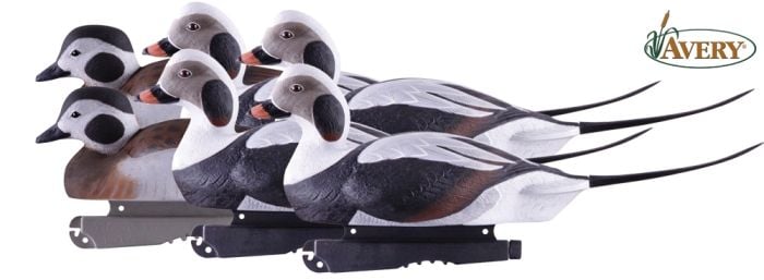Appelants-Canards-Grade-Commercial-Hareldes-Avery