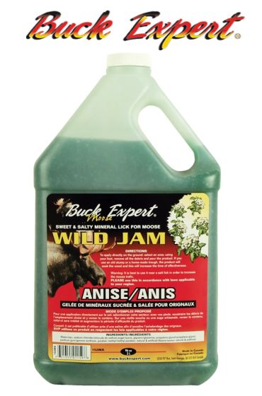 Anise-Wild-Jam