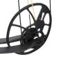 Bear-Legit-RTH-Whitetail-RH-Bow