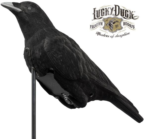 Cawlin-Crow-Decoy