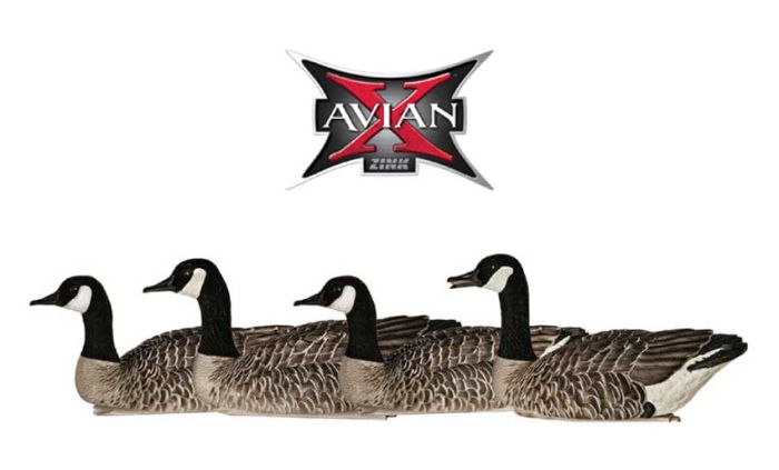 Appelants-flottants-outardes-Topflight