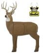 Cible-de-tir-GlenDel-Full-Rut-Buck-3D