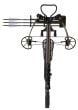 bear-archery-domain-crossbow