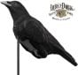 Cawlin-Crow-Decoy