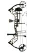 Arc-Bear-Species-EV-RTH-gaucher