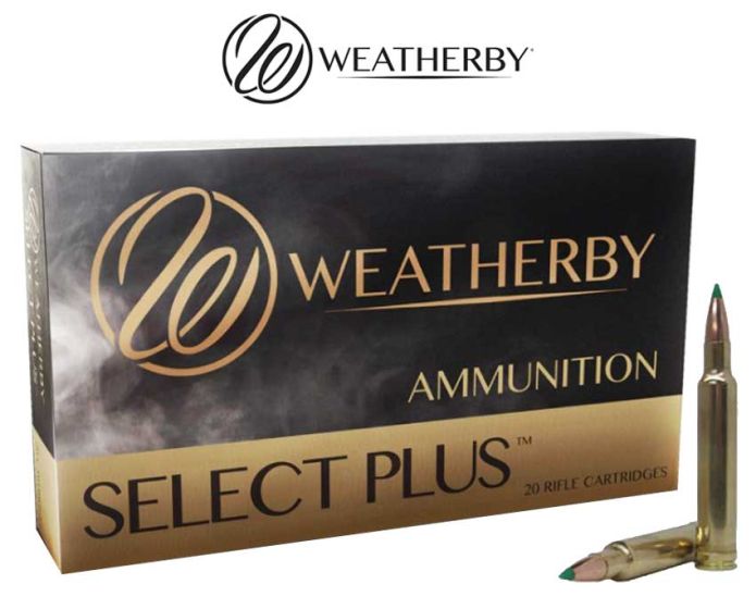 Weatherby 300 Weatherby Magnum 180 gr TTSX Ammunitions