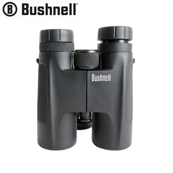 Bushnell 10x42 Binoculars