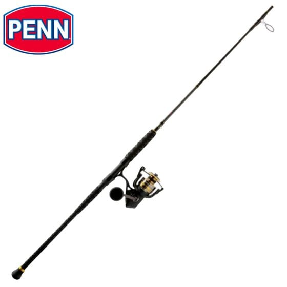 PENN Battle IV Spinning Combo 8' Medium Heavy 5000