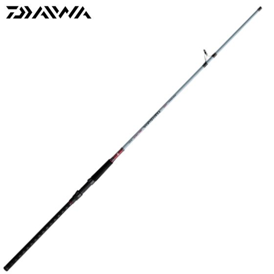 Canne Spinning Team Daiwa Surf 10' (3,05 m) Moyenne-Forte Rapide 2 pces