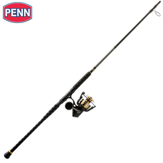 PENN Battle IV 9' (274 cm) Medium Heavy 6000 Spinning Combo