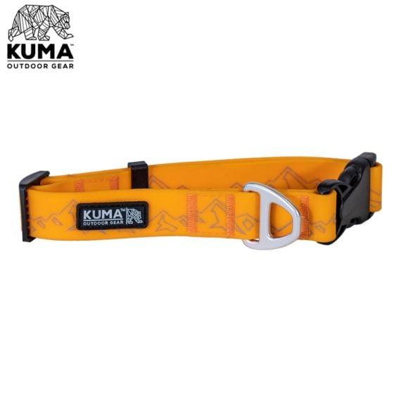 Collier Pour Chien Kuma Soggy Dog